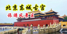 多毛妇女4P中国北京-东城古宫旅游风景区